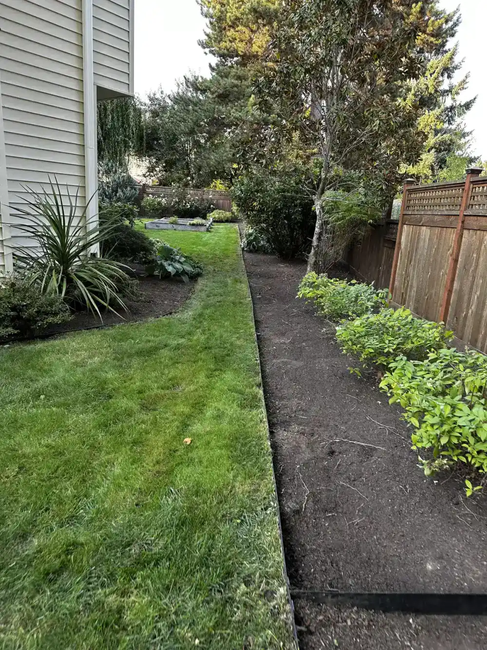 Property clean-up before landscaping renovation in Oregon