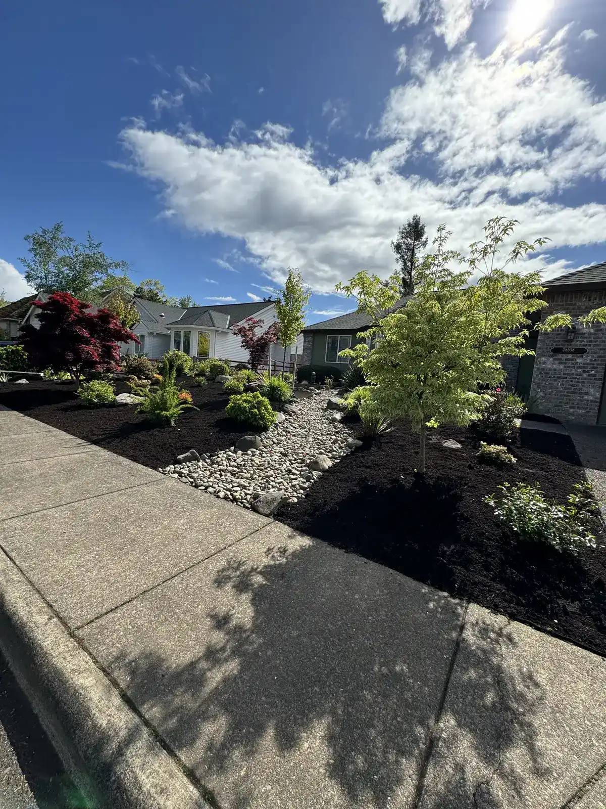 Front yard landscaping with Japanese maples and dry creek rock by CreekView Landscape in Oregon