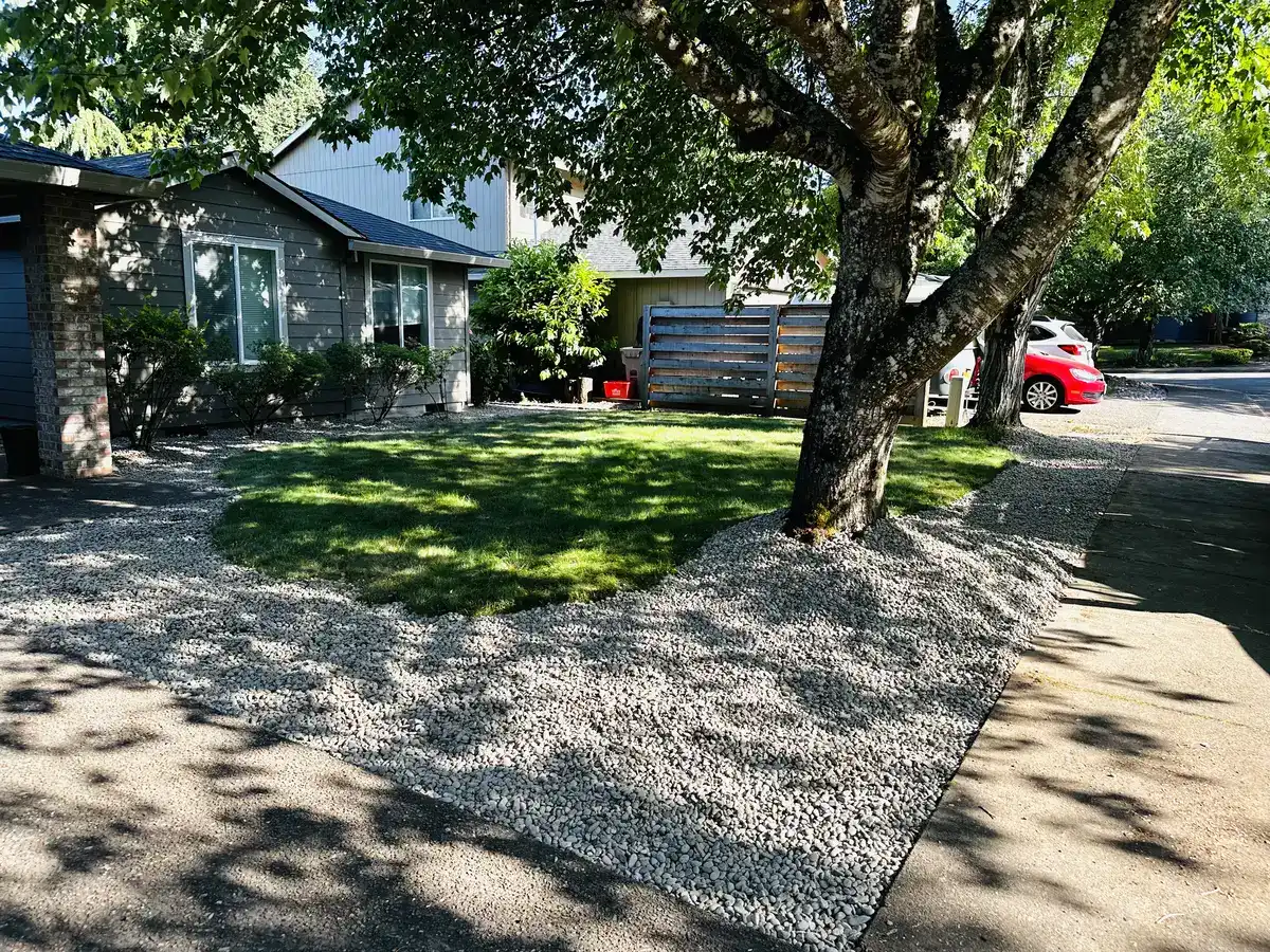 Residential landscape with a central lawn, gravel beds, mature trees, and a walkway
