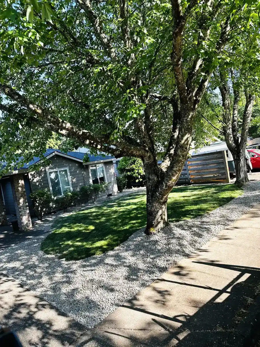 Fresh landscape bed edges and lawn planning by CreekView Landscape