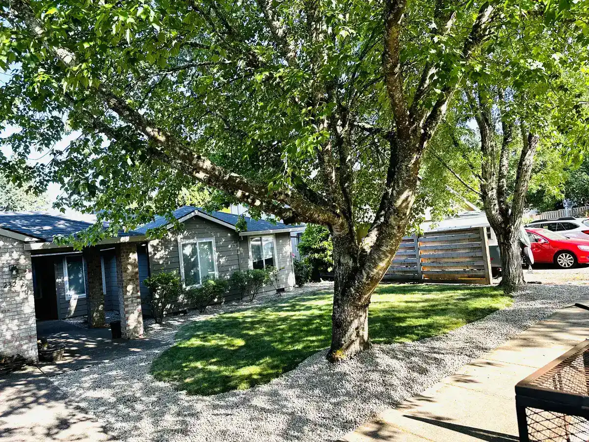 Finished backyard landscaping with lawn, plantings, and clean bed lines by CreekView Landscape
