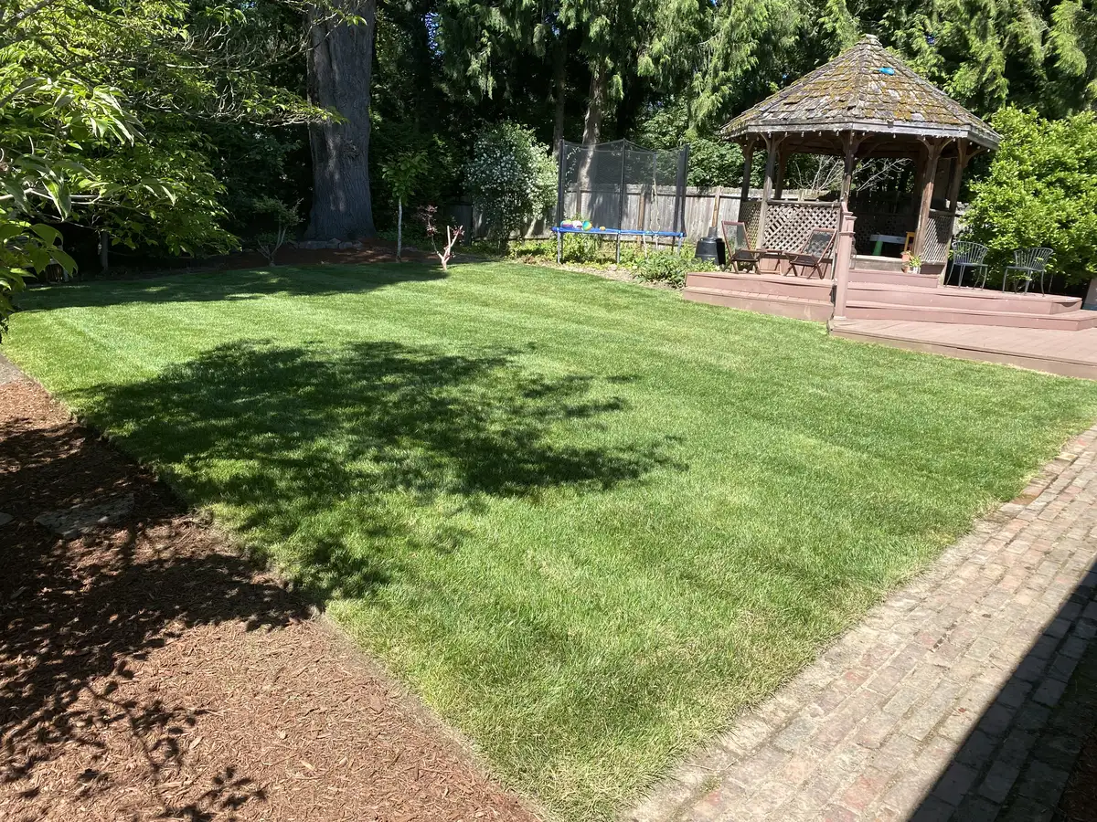 Lush sod lawn with gazebo and mulch border by CreekView Landscape in Oregon