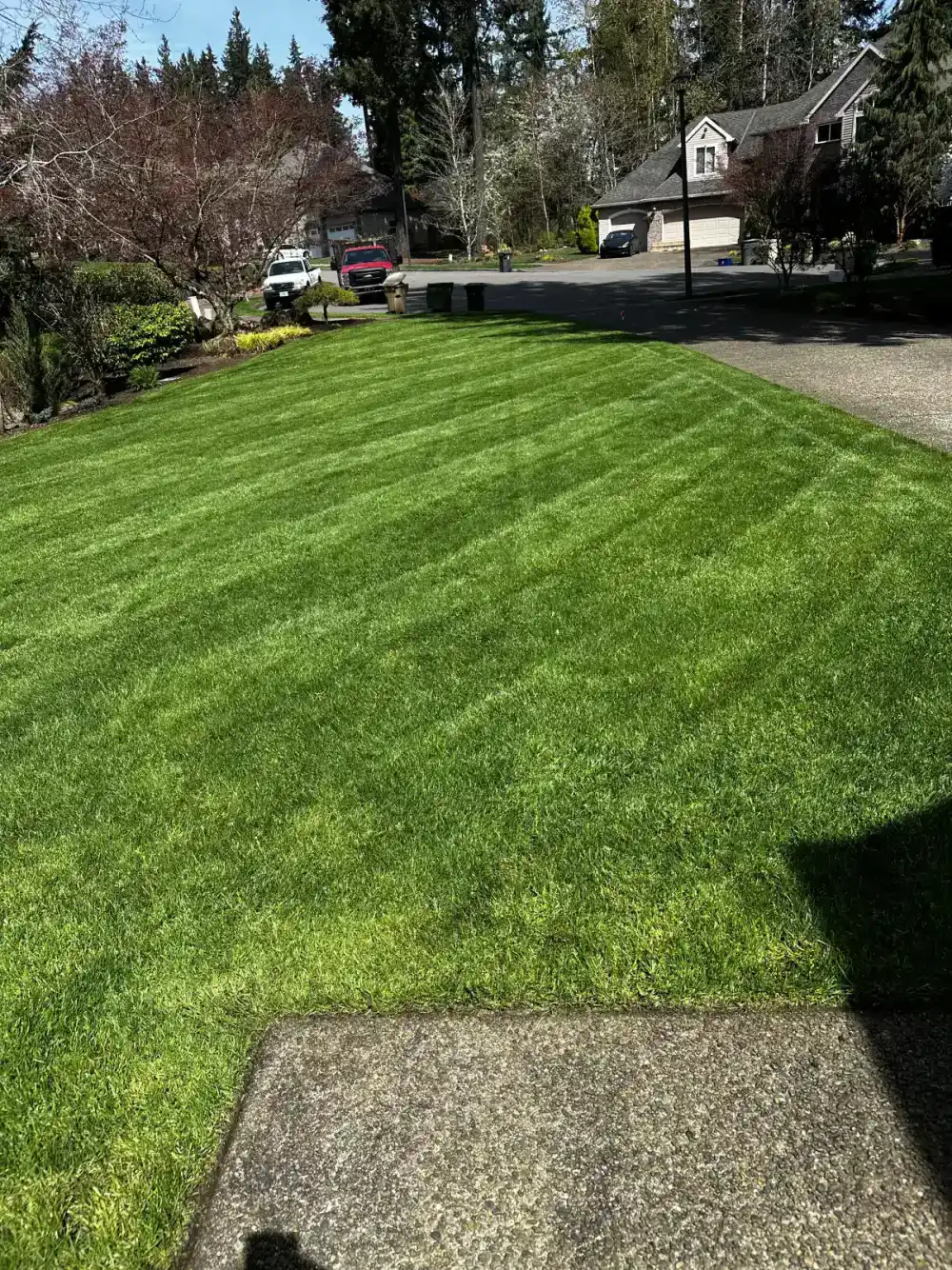 Lawn edging and mowing service in Tualatin Oregon