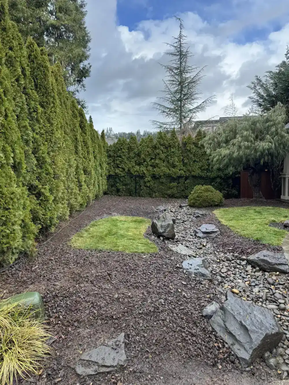 Thick green lawn after fertilization program in Beaverton Oregon