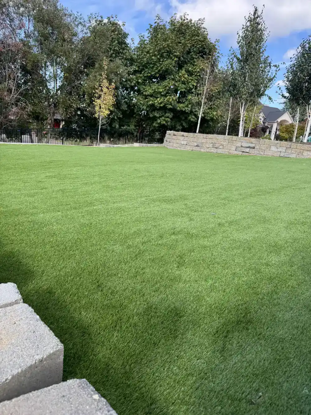 Backyard turf installation with paver border in Wilsonville Oregon